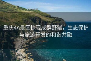 重慶4A景區驚現成群野豬，生態保護與旅游開發的和諧共融