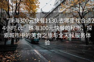 “珠海300元快餐1130.去哪里找合適24小時.cc”珠海300元快餐的秘密，探索城市中的美食之旅與全天候服務體驗