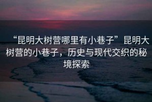 “昆明大樹營哪里有小巷子”昆明大樹營的小巷子，歷史與現代交織的秘境探索