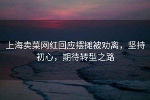 上海賣菜網(wǎng)紅回應(yīng)擺攤被勸離，堅(jiān)持初心，期待轉(zhuǎn)型之路