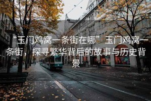 “玉門雞窩一條街在哪”玉門雞窩一條街，探尋繁華背后的故事與歷史背景