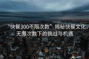 “快餐300不限次數”揭秘快餐文化，無限次數下的挑戰與機遇