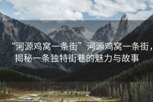 “河源雞窩一條街”河源雞窩一條街，揭秘一條獨特街巷的魅力與故事