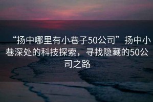 “揚中哪里有小巷子50公司”揚中小巷深處的科技探索，尋找隱藏的50公司之路