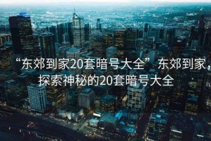 “東郊到家20套暗號大全”東郊到家，探索神秘的20套暗號大全