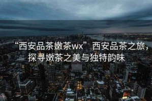 “西安品茶嫩茶wx”西安品茶之旅，探尋嫩茶之美與獨特韻味