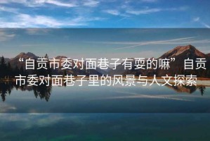 “自貢市委對面巷子有耍的嘛”自貢市委對面巷子里的風景與人文探索