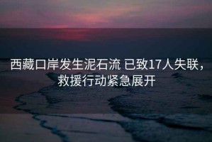 西藏口岸發(fā)生泥石流 已致17人失聯(lián)，救援行動緊急展開