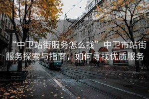 “中衛(wèi)站街服務(wù)怎么找”中衛(wèi)市站街服務(wù)探索與指南，如何尋找優(yōu)質(zhì)服務(wù)