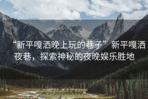 “新平嘎灑晚上玩的巷子”新平嘎灑夜巷，探索神秘的夜晚娛樂勝地