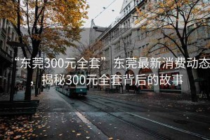 “東莞300元全套”東莞最新消費動態，揭秘300元全套背后的故事