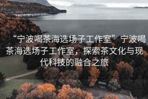 “寧波喝茶海選場子工作室”寧波喝茶海選場子工作室，探索茶文化與現(xiàn)代科技的融合之旅