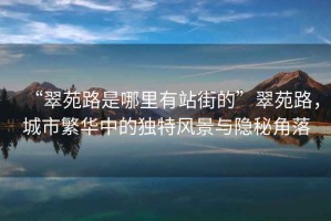 “翠苑路是哪里有站街的”翠苑路，城市繁華中的獨(dú)特風(fēng)景與隱秘角落