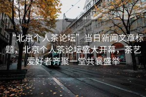 “北京個人茶論壇”當(dāng)日新聞文章標(biāo)題，北京個人茶論壇盛大開幕，茶藝愛好者齊聚一堂共襄盛舉
