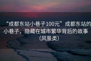 “成都東站小巷子100元”成都東站的小巷子，隱藏在城市繁華背后的故事（風景類）