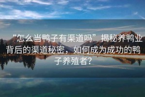 “怎么當鴨子有渠道嗎”揭秘養鴨業背后的渠道秘密，如何成為成功的鴨子養殖者？
