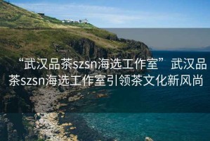 “武漢品茶szsn海選工作室”武漢品茶szsn海選工作室引領(lǐng)茶文化新風(fēng)尚