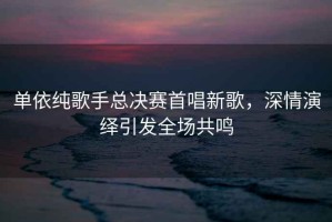 單依純歌手總決賽首唱新歌，深情演繹引發(fā)全場共鳴