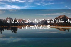 “奉賢100元的小巷子”奉賢隱秘小巷，百元探秘之旅