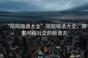“陌陌暗語大全”陌陌暗語大全，探索網絡社交的新語言