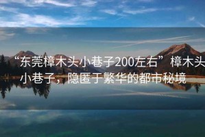 “東莞樟木頭小巷子200左右”樟木頭小巷子，隱匿于繁華的都市秘境