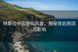 特斯拉中國漲價風波，揭秘背后原因與影響