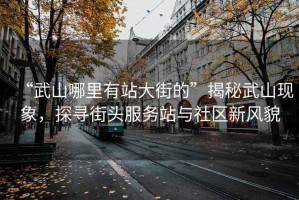 “武山哪里有站大街的”揭秘武山現象，探尋街頭服務站與社區新風貌