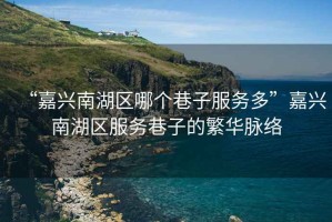 “嘉興南湖區哪個巷子服務多”嘉興南湖區服務巷子的繁華脈絡