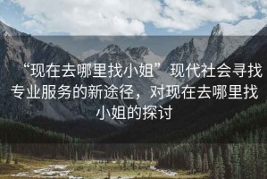 “現在去哪里找小姐”現代社會尋找專業服務的新途徑，對現在去哪里找小姐的探討