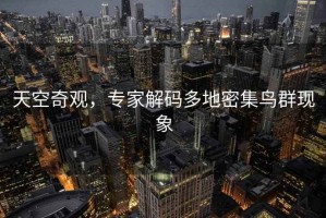 天空奇觀，專家解碼多地密集鳥群現象