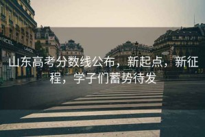 山東高考分數線公布，新起點，新征程，學子們蓄勢待發