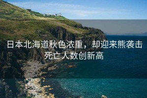 日本北海道秋色濃重，卻迎來(lái)熊襲擊死亡人數(shù)創(chuàng)新高