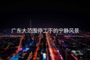 廣東大范圍停工下的寧靜風景