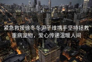 緊急救援徐冬冬尹子維攜手堅持拯救重病寵物，愛心傳遞溫暖人間