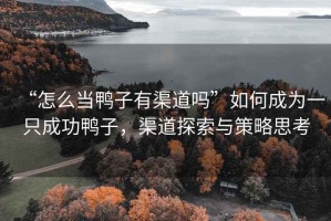 “怎么當鴨子有渠道嗎”如何成為一只成功鴨子，渠道探索與策略思考