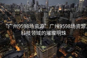 “廣州9598場資源”廣州9598場資源，科技領(lǐng)域的璀璨明珠