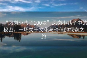 “鳳崗小巷子100塊”鳳崗小巷子中的秘密，一場關于文化與價值的探索之旅
