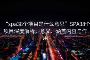 “spa38個項目是什么意思”SPA38個項目深度解析，意義、涵蓋內容與作用