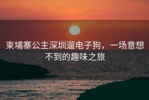 柬埔寨公主深圳遛電子狗，一場(chǎng)意想不到的趣味之旅