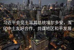 習近平會見土耳其總統埃爾多安，深化中土友好合作，共謀地區和平發展