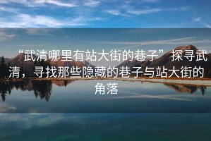 “武清哪里有站大街的巷子”探尋武清，尋找那些隱藏的巷子與站大街的角落