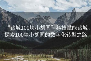 “諸城100塊小胡同”科技賦能諸城，探索100塊小胡同的數字化轉型之路
