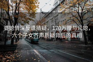 婆媳情深反遭猜疑，170萬贈與兒媳，六個子女齊聲質疑背后的真相