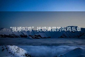 “撫順叫雞”撫順清晨的叫雞樂章