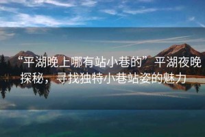 “平湖晚上哪有站小巷的”平湖夜晚探秘，尋找獨特小巷站姿的魅力