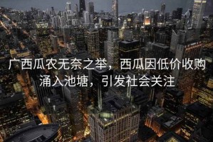 廣西瓜農(nóng)無(wú)奈之舉，西瓜因低價(jià)收購(gòu)涌入池塘，引發(fā)社會(huì)關(guān)注