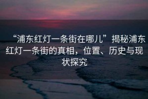 “浦東紅燈一條街在哪兒”揭秘浦東紅燈一條街的真相，位置、歷史與現(xiàn)狀探究
