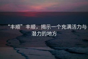 “豐順”豐順，揭示一個充滿活力與潛力的地方