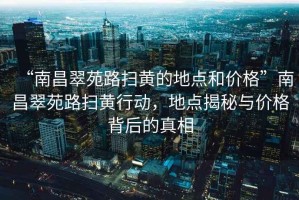 “南昌翠苑路掃黃的地點(diǎn)和價(jià)格”南昌翠苑路掃黃行動(dòng)，地點(diǎn)揭秘與價(jià)格背后的真相