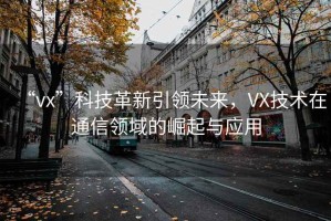 “vx”科技革新引領(lǐng)未來，VX技術(shù)在通信領(lǐng)域的崛起與應(yīng)用